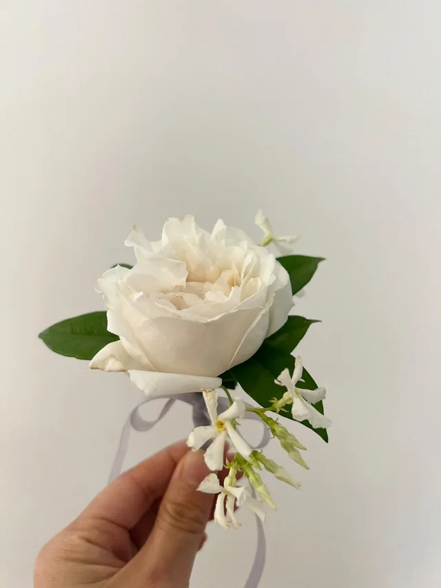 A single ivory rose with jasmine and a soft white ribbon, held by hand